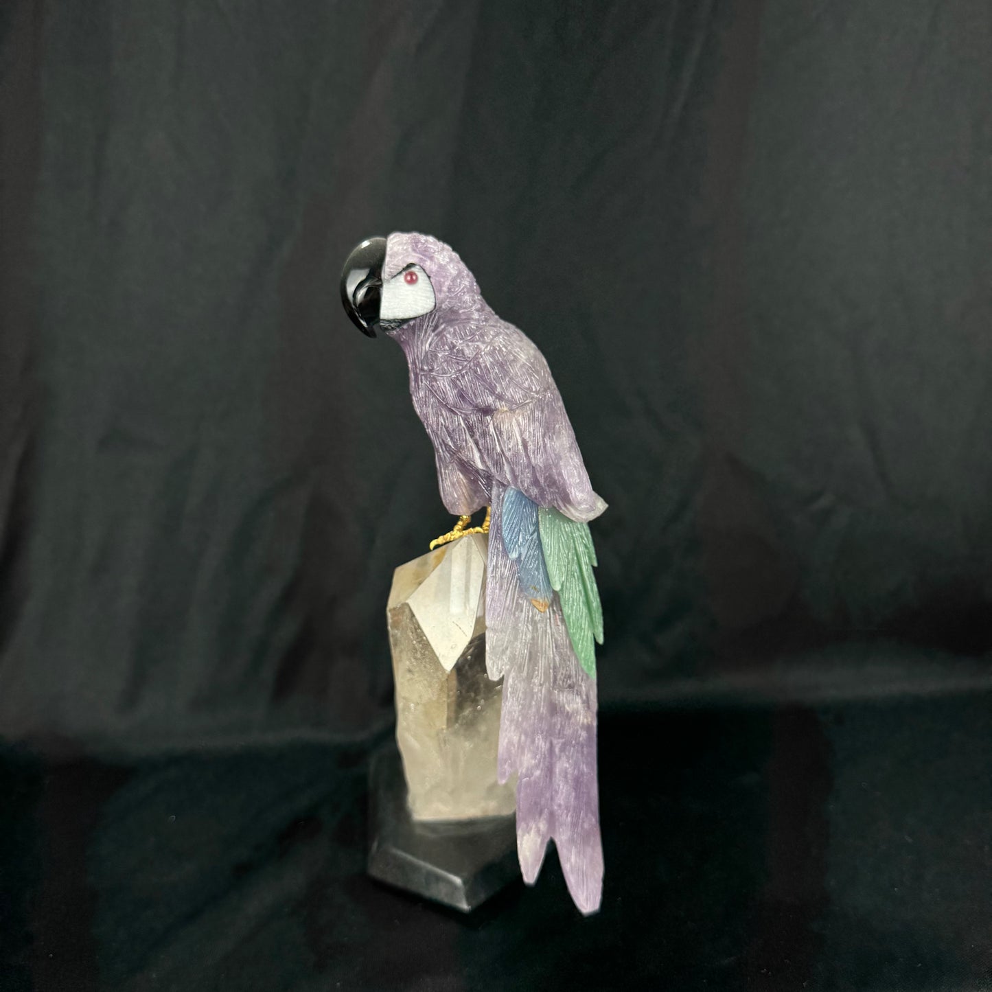The Amethyst Macaw