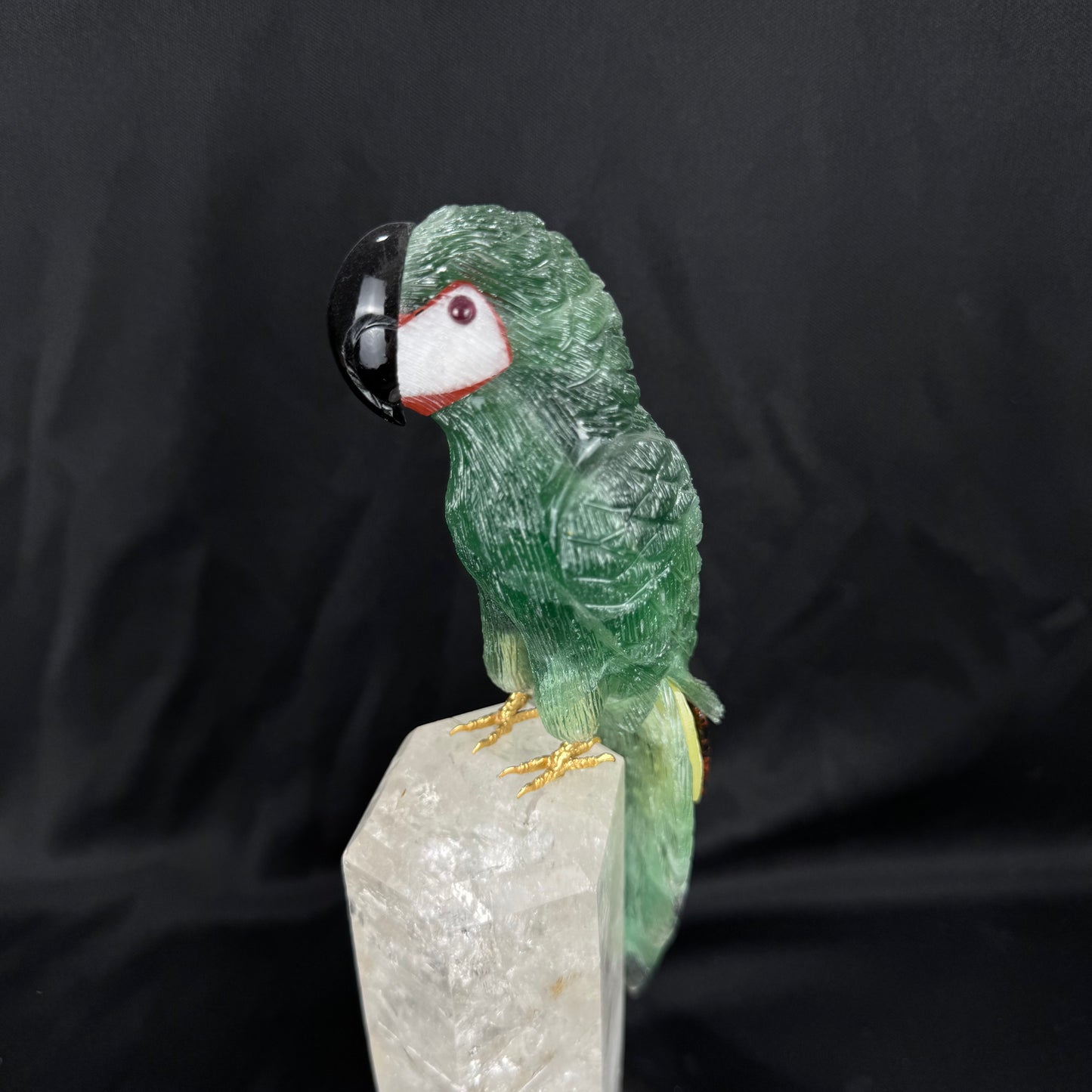 The Emerald Macaw