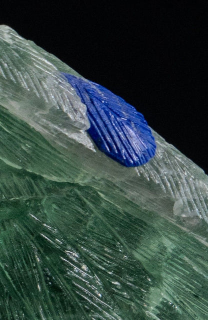 The Green Macaw — Green Fluorite on Colombian Quartz
