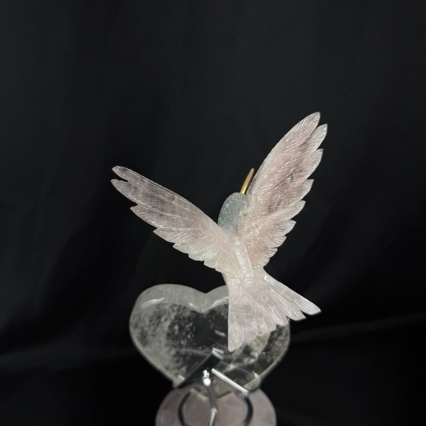 The Rose Hummingbird