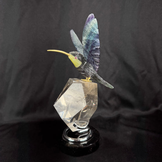 The Golden Hummingbird