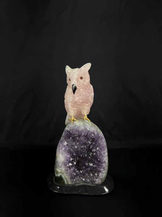 The Garnet Owl