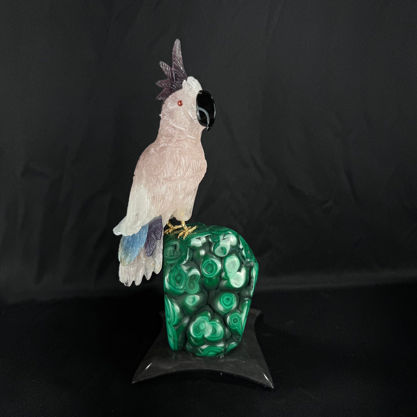 The Malachite Cockatoo