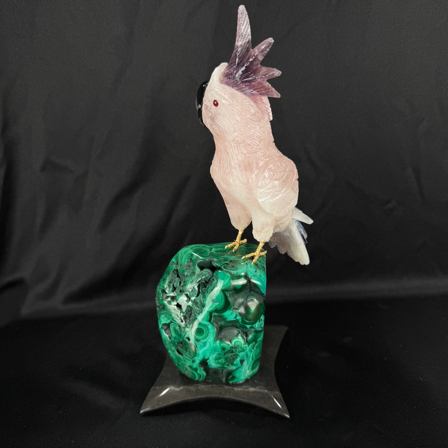 The Malachite Cockatoo