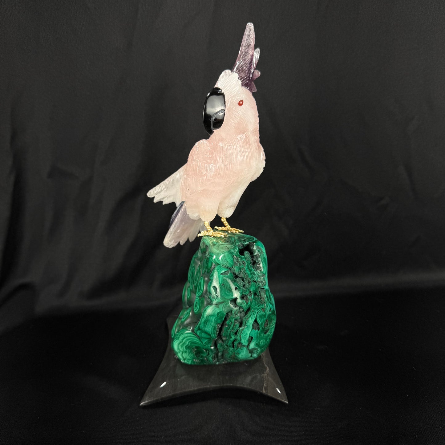 The Malachite Cockatoo