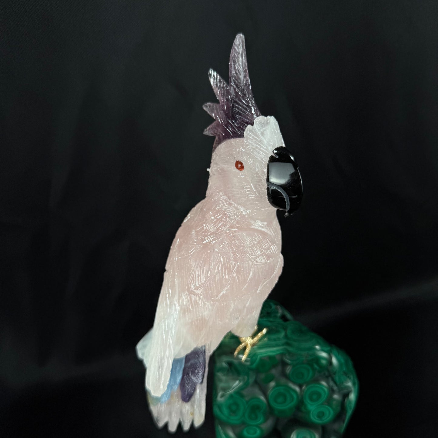The Malachite Cockatoo