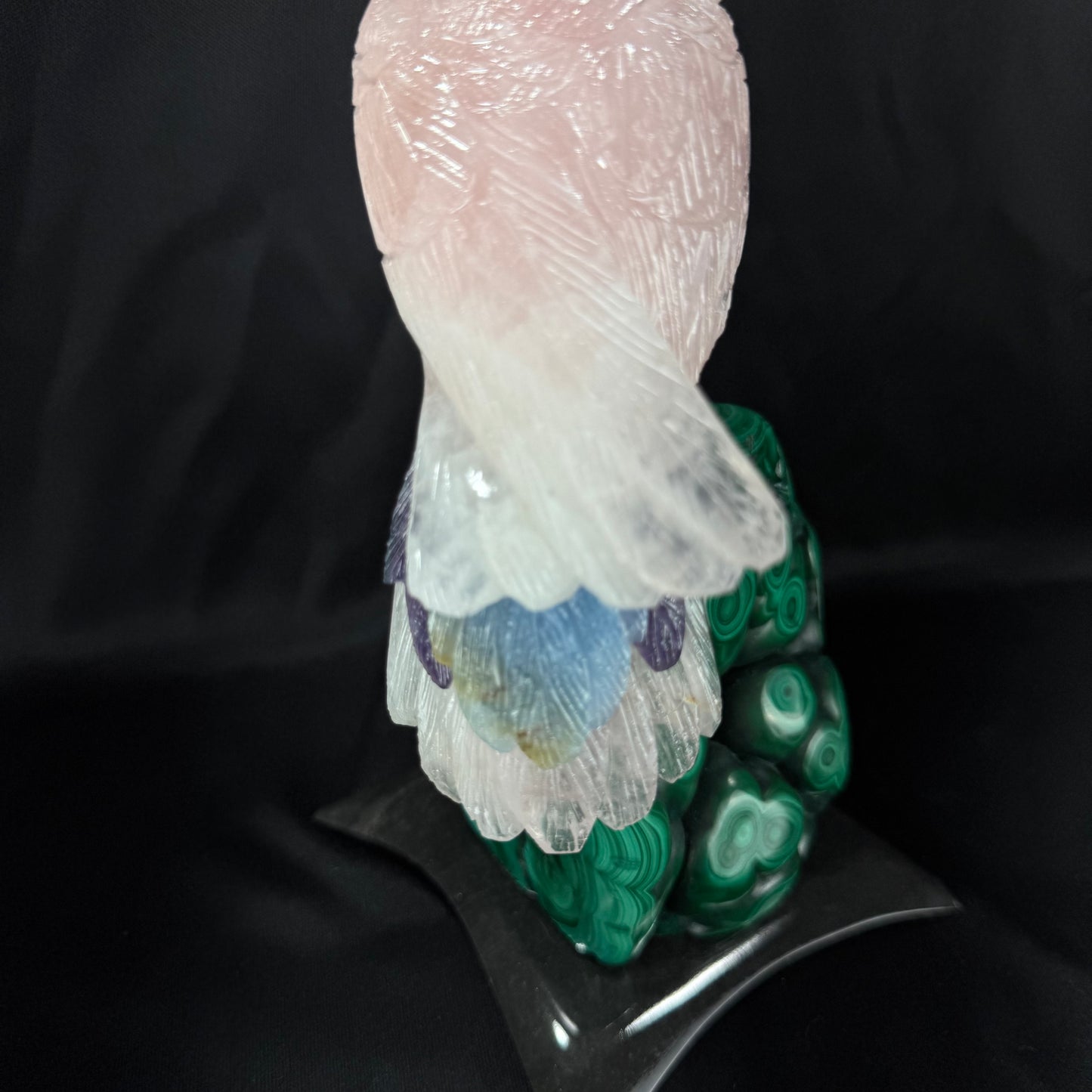 The Malachite Cockatoo