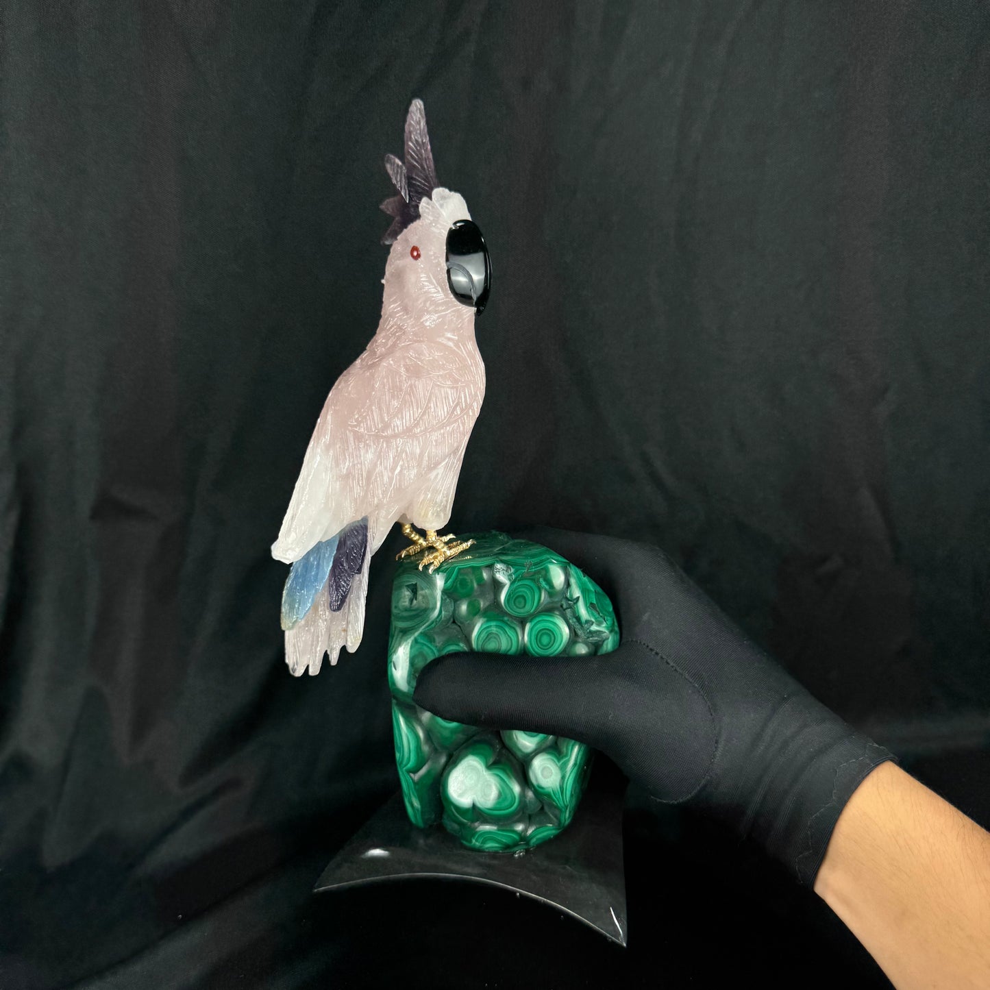 The Malachite Cockatoo