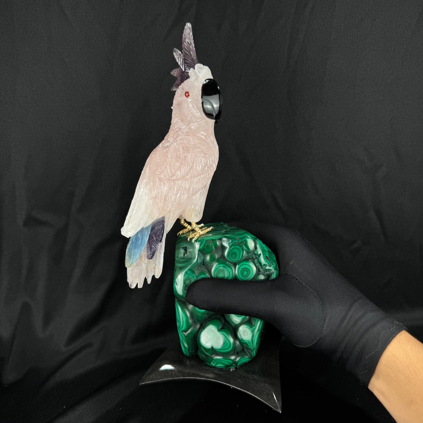 The Malachite Cockatoo
