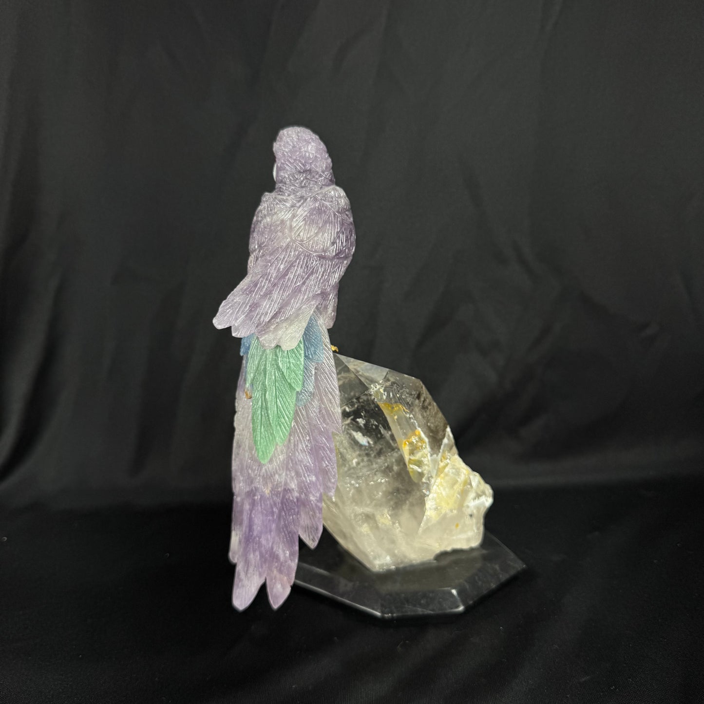 The Amethyst Macaw