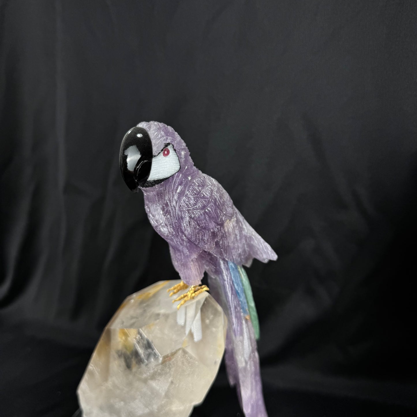 The Amethyst Macaw