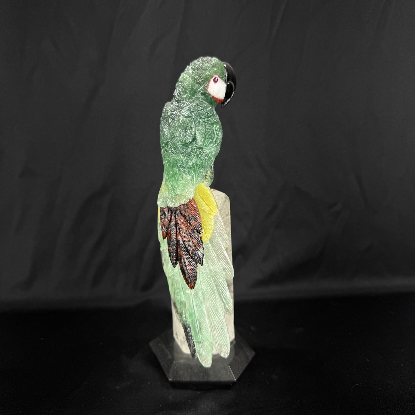 The Emerald Macaw