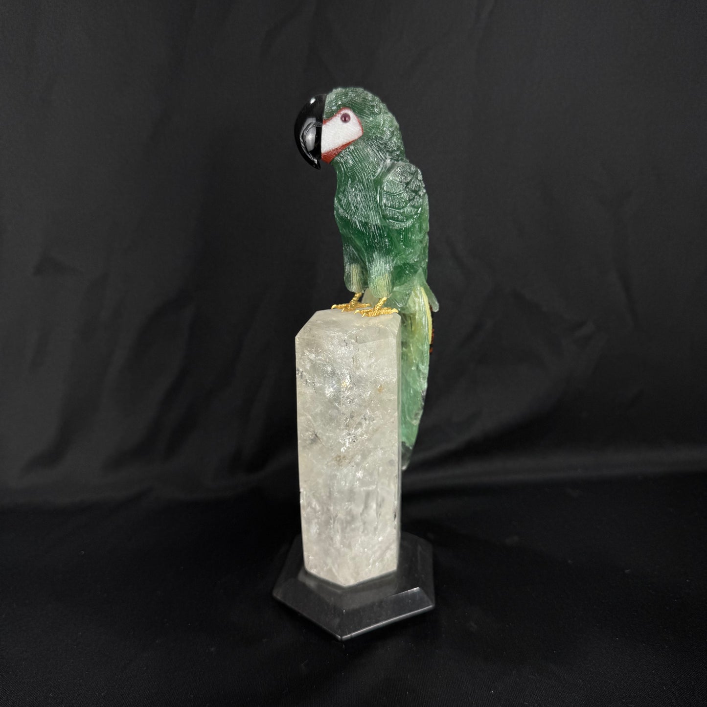 The Emerald Macaw