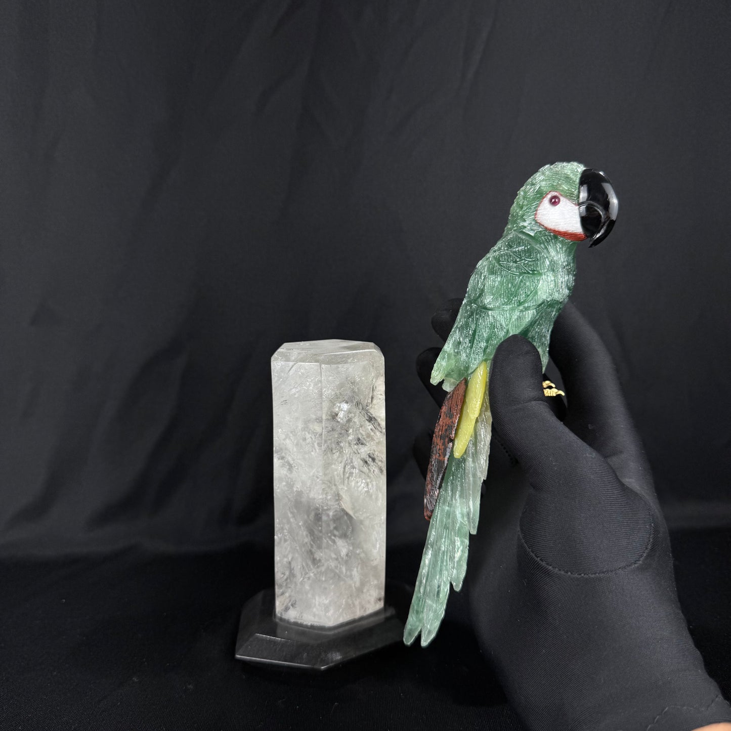 The Emerald Macaw