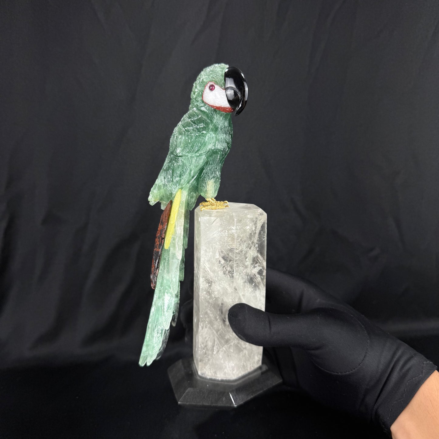 The Emerald Macaw