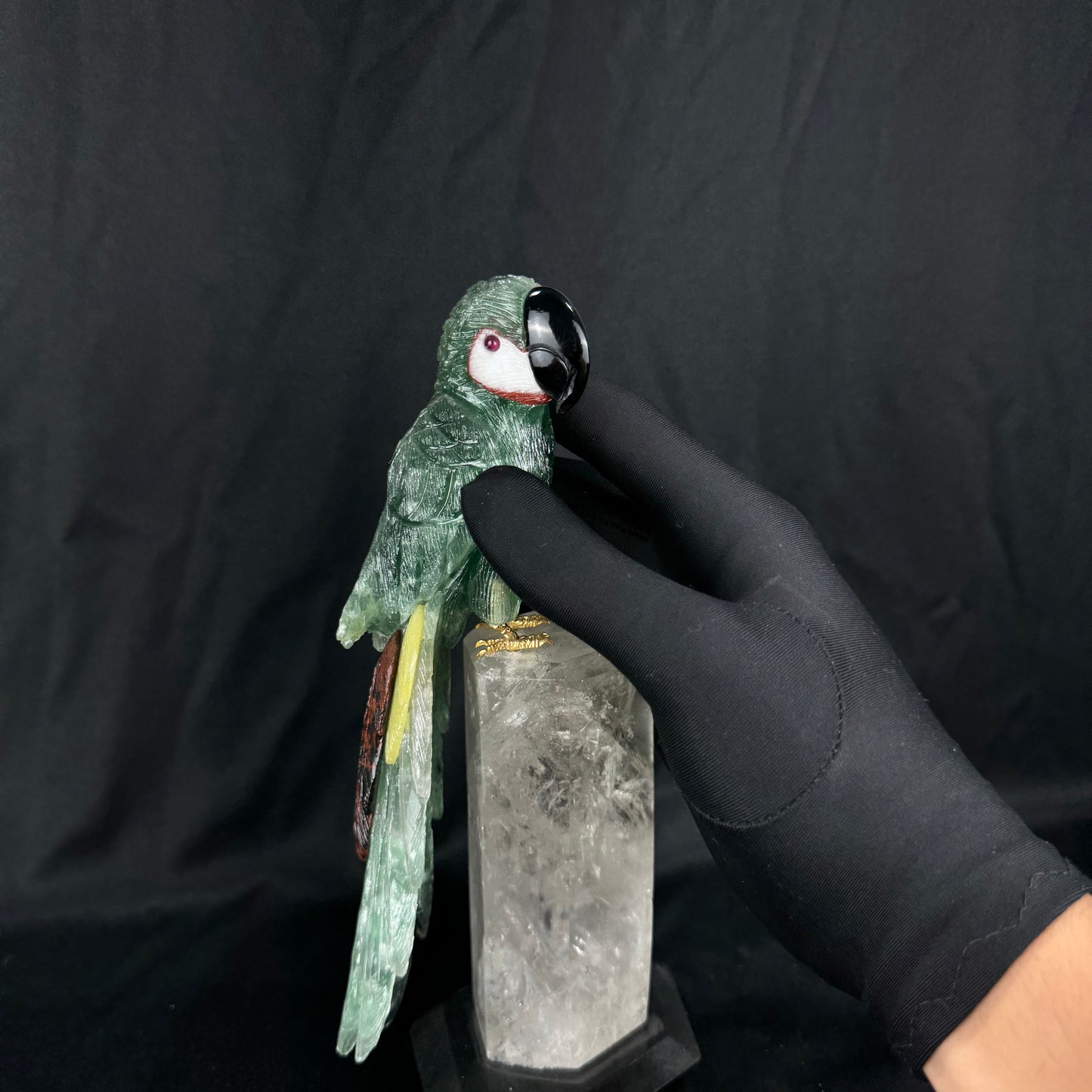 The Emerald Macaw