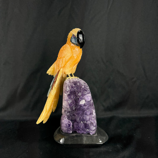 The Calcite Macaw