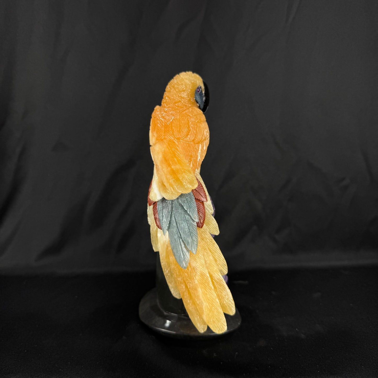 The Calcite Macaw