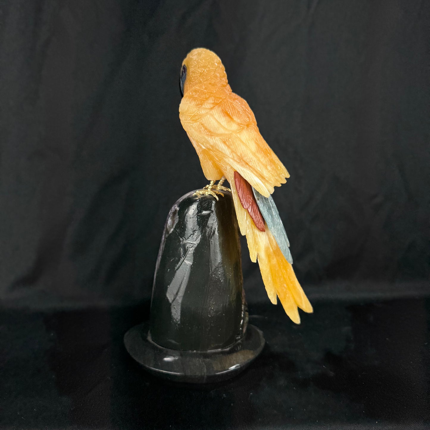 The Calcite Macaw