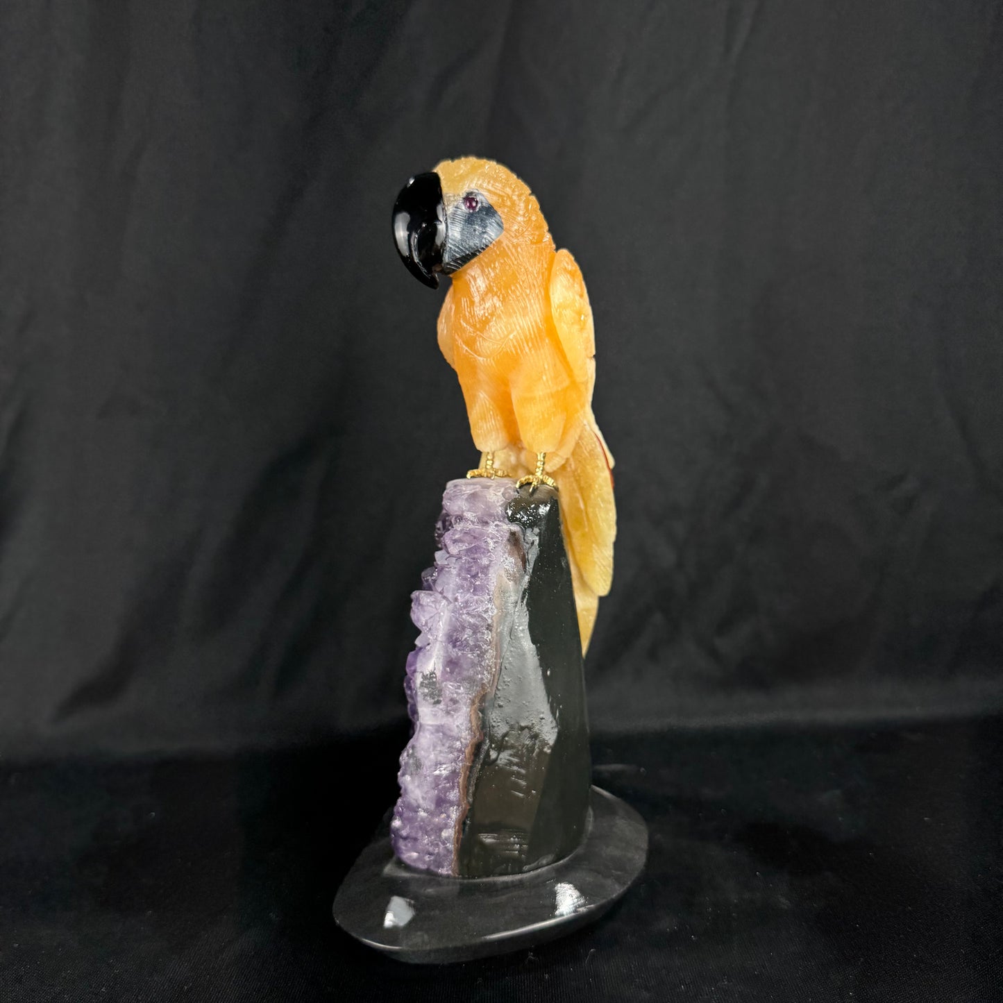The Calcite Macaw