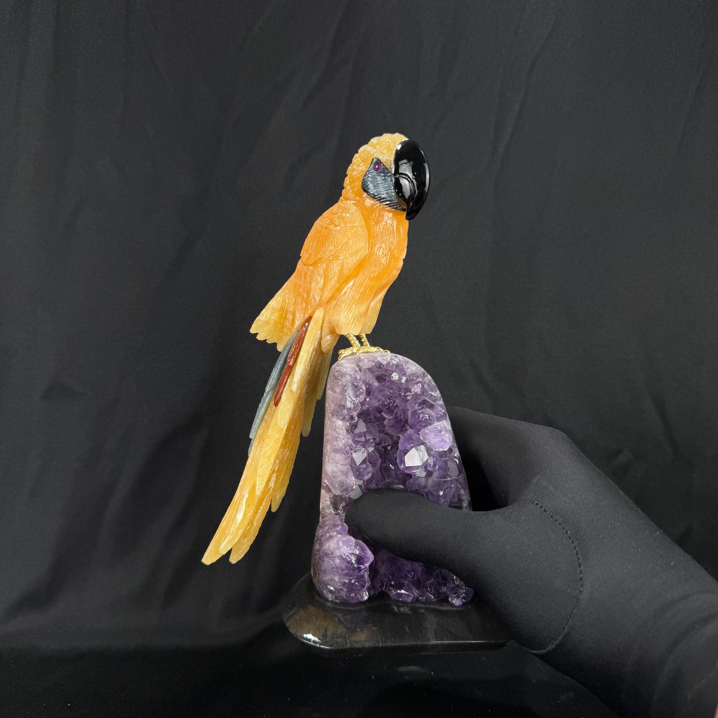 The Calcite Macaw