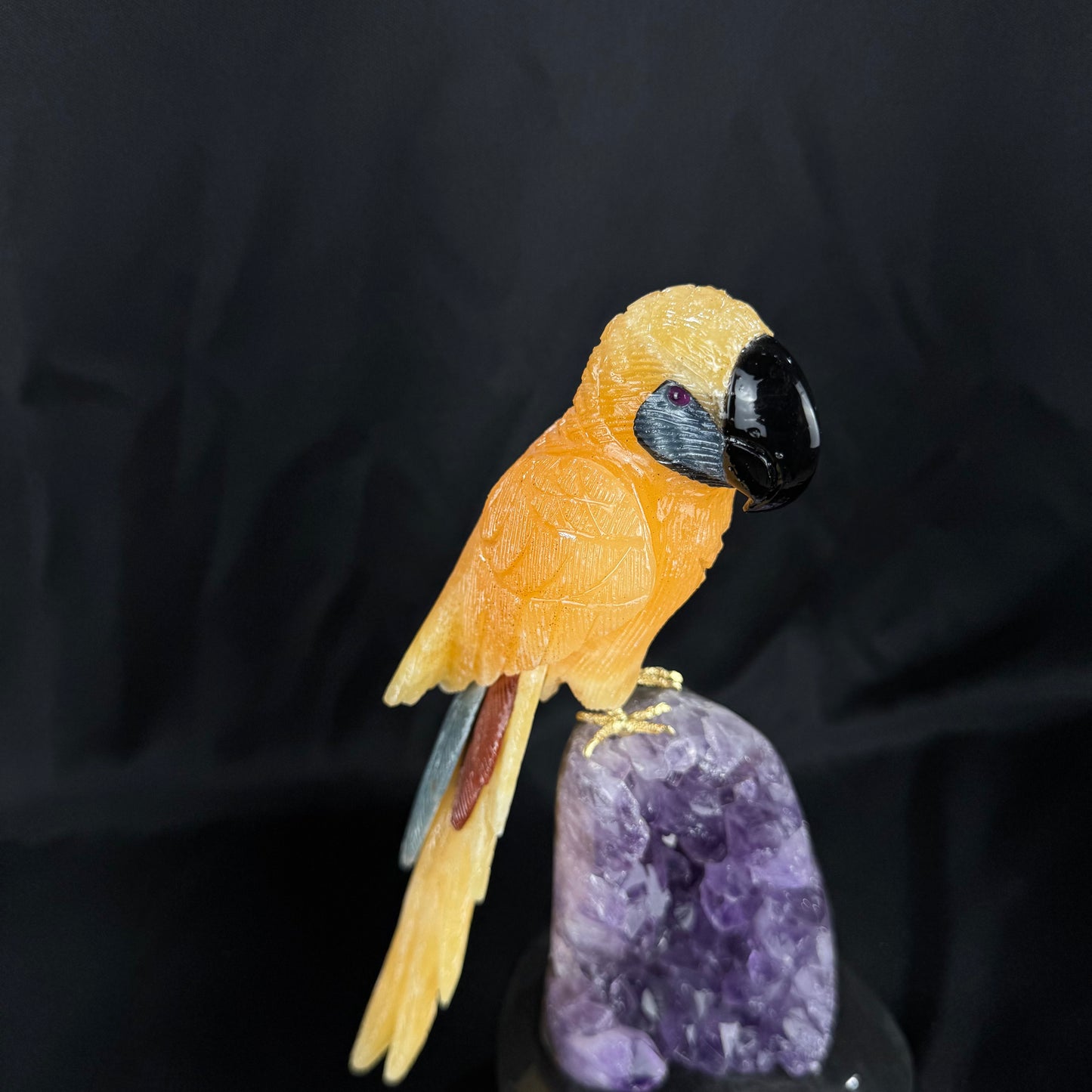 The Calcite Macaw