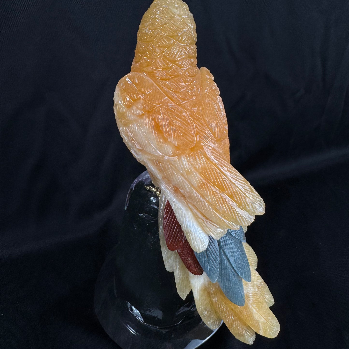 The Calcite Macaw