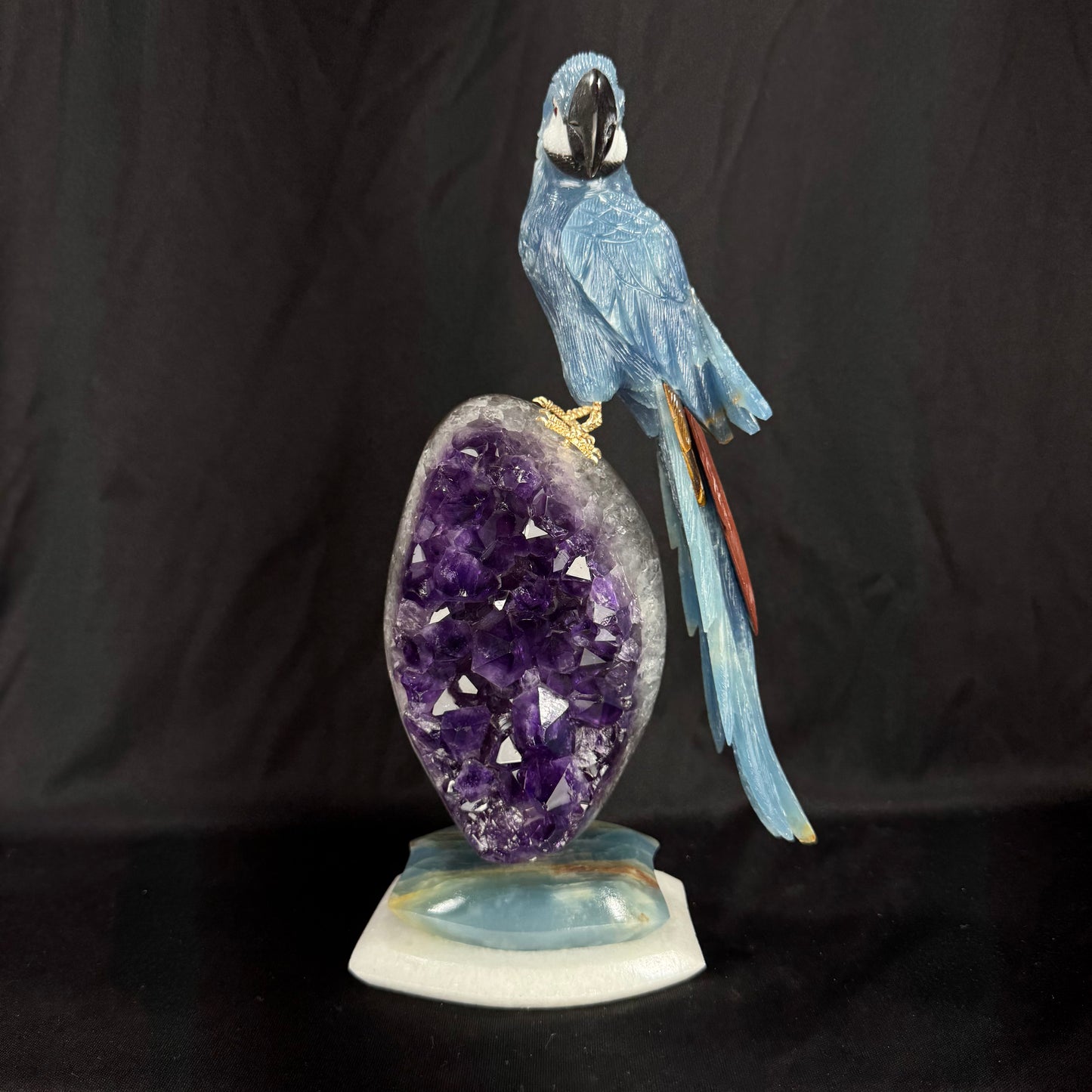 The Midnight Macaw