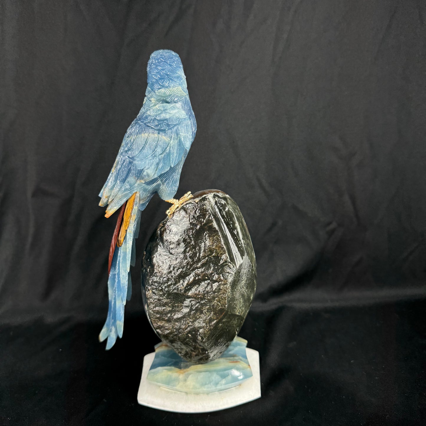 The Midnight Macaw