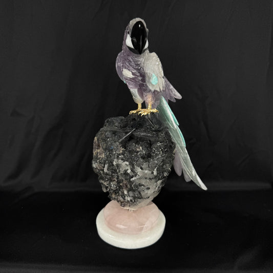 The Tourmaline Macaw