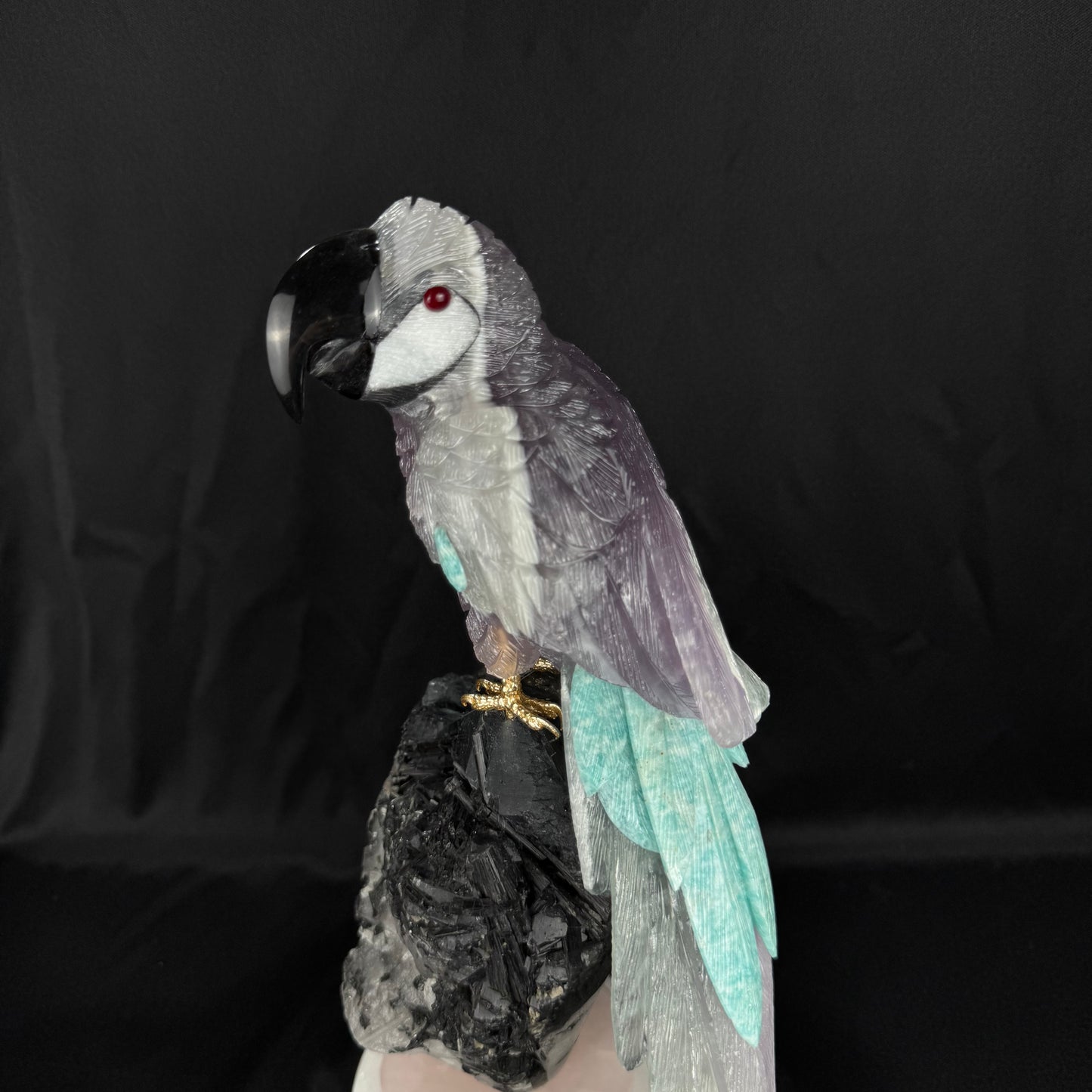 The Tourmaline Macaw