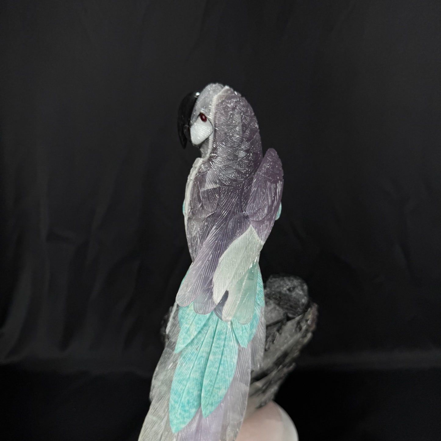 The Tourmaline Macaw