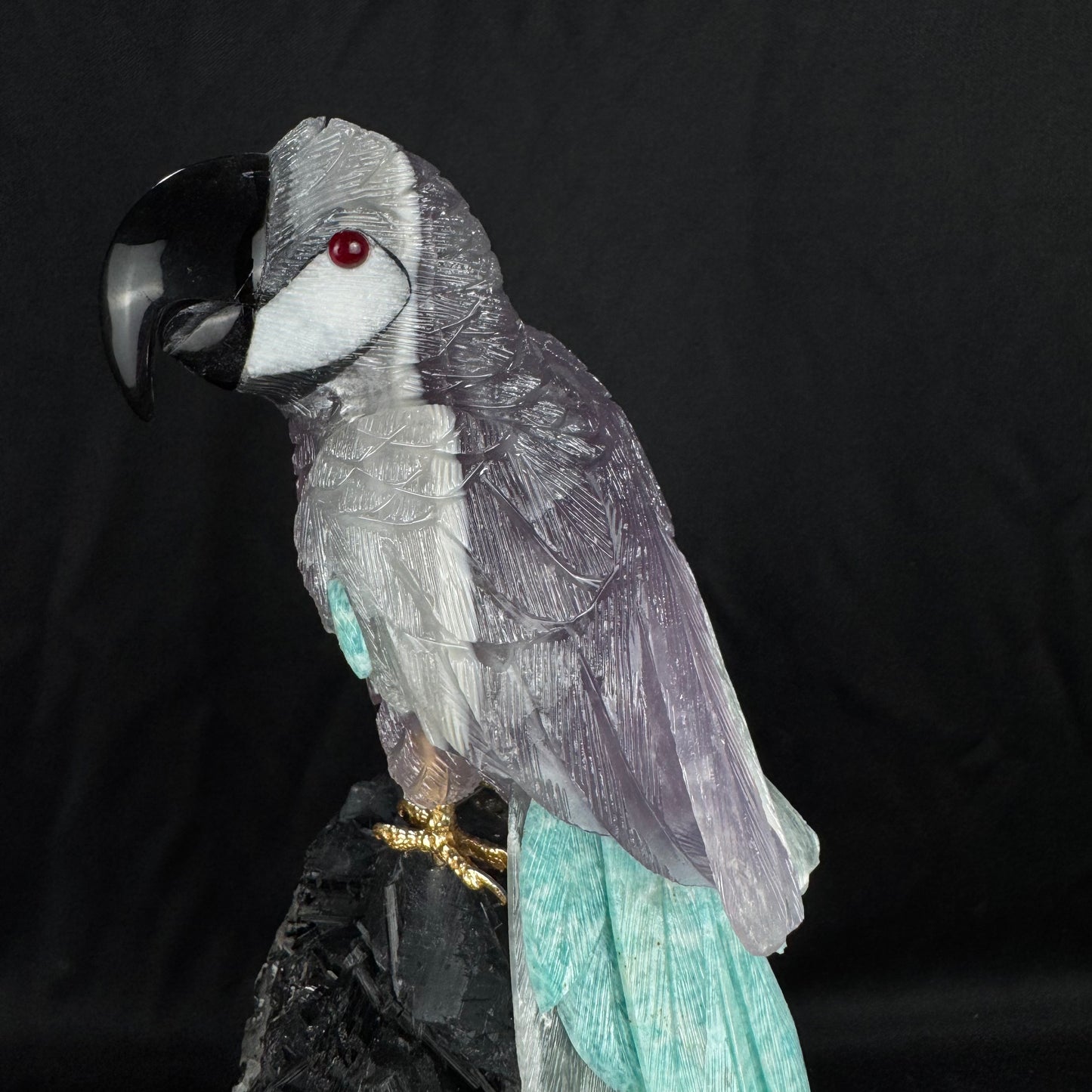 The Tourmaline Macaw