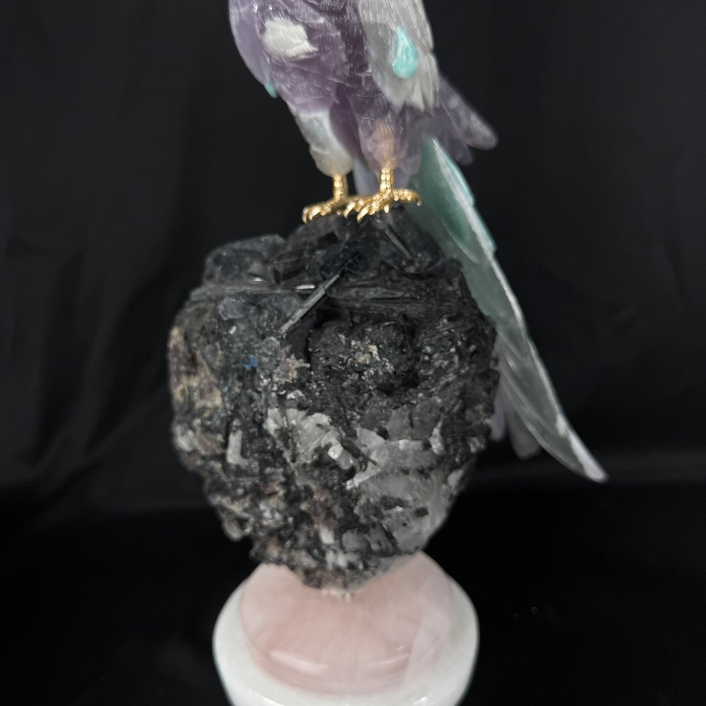 The Tourmaline Macaw