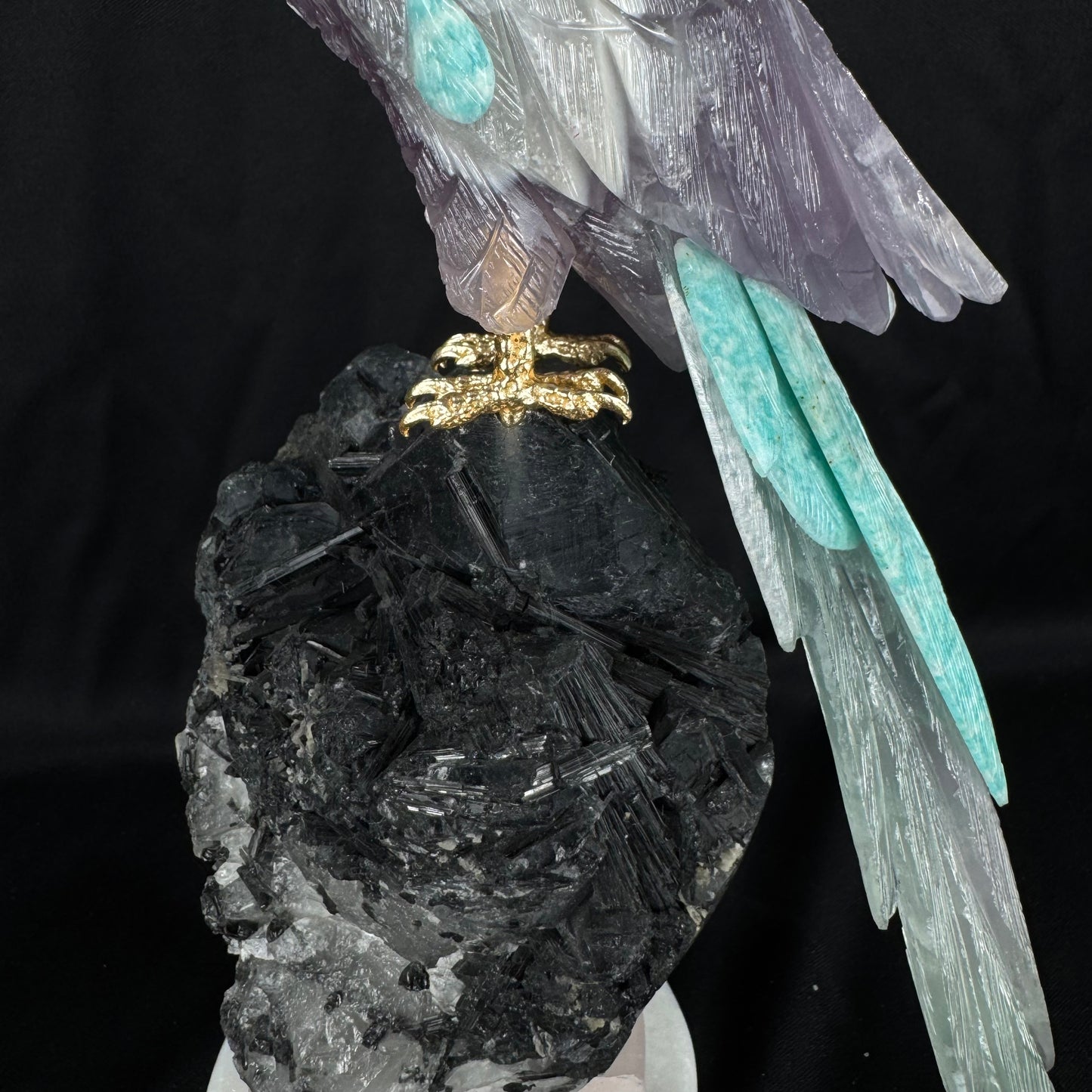The Tourmaline Macaw