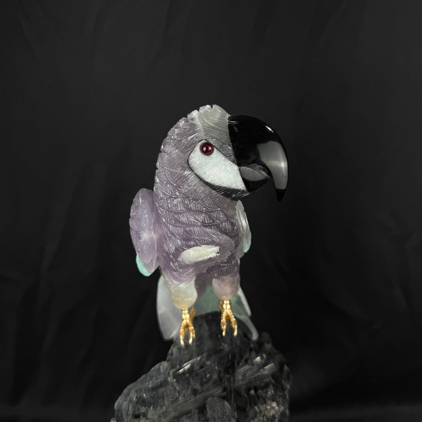 The Tourmaline Macaw