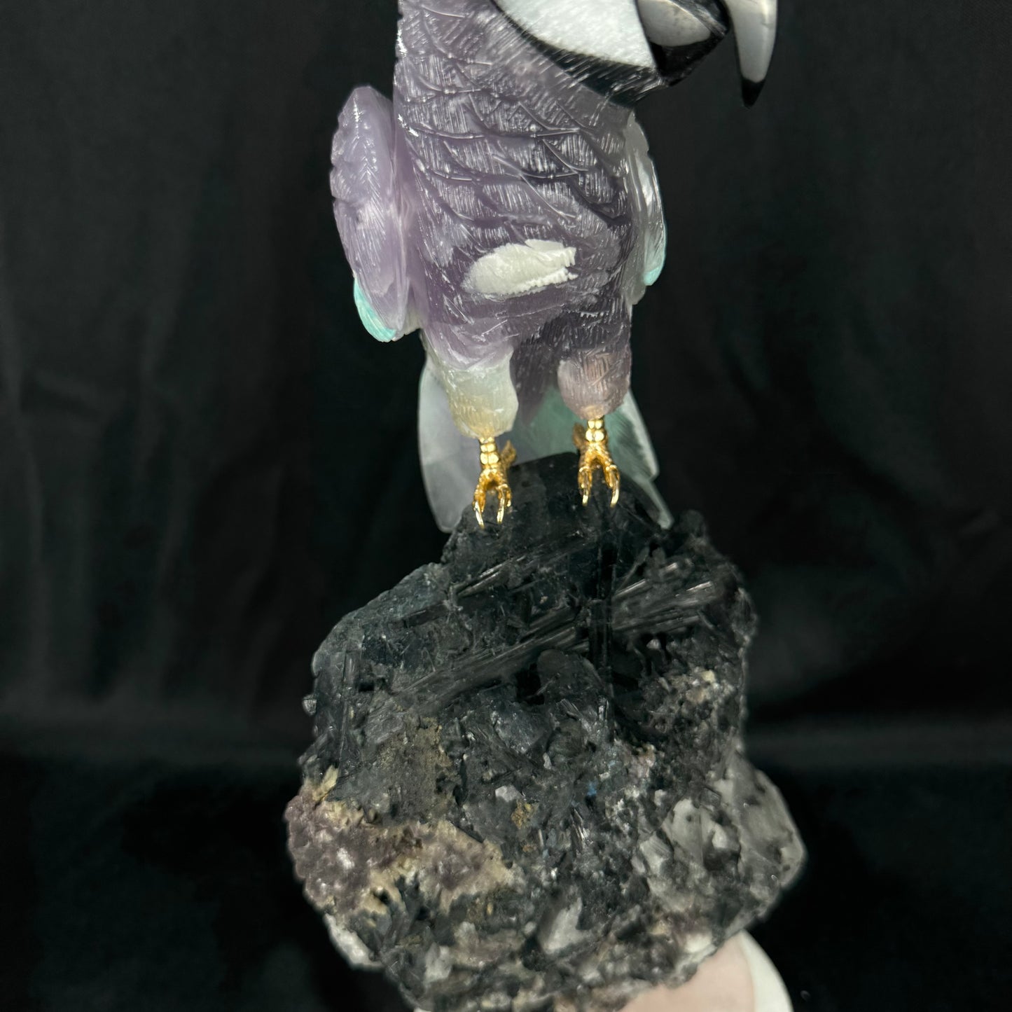 The Tourmaline Macaw