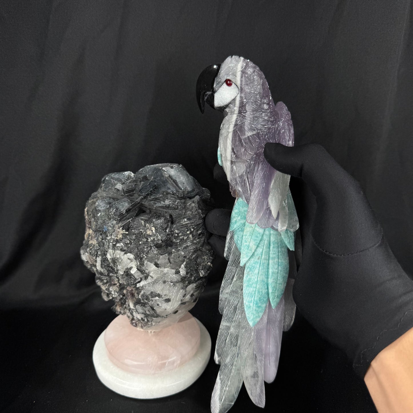 The Tourmaline Macaw
