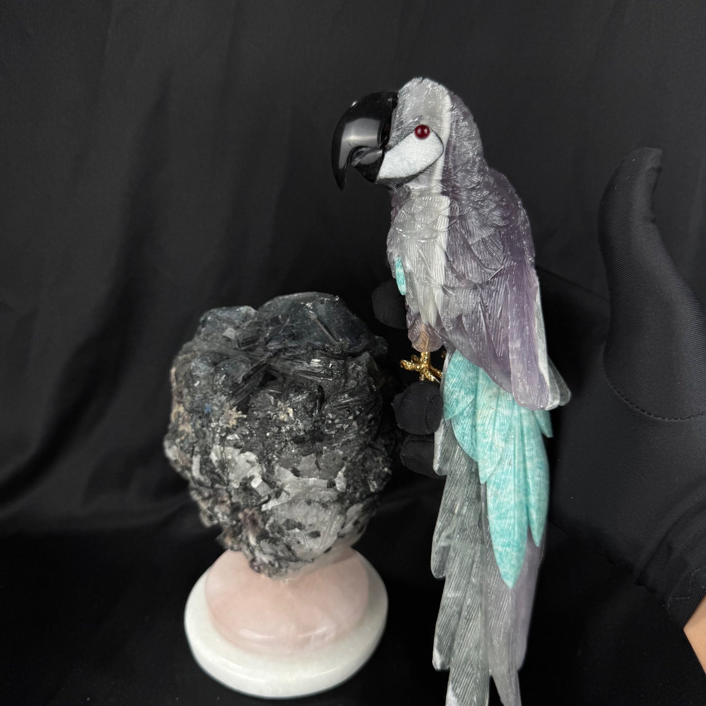 The Tourmaline Macaw